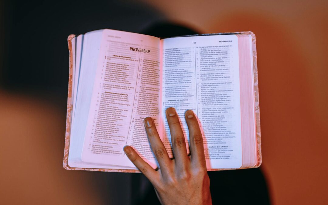 Opened Book in Selective Focus Photography